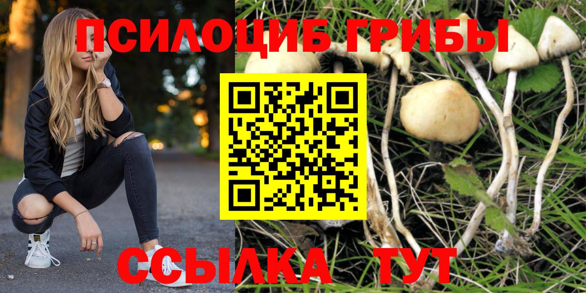 Галлюциногенные грибы ЛСД Елабуга