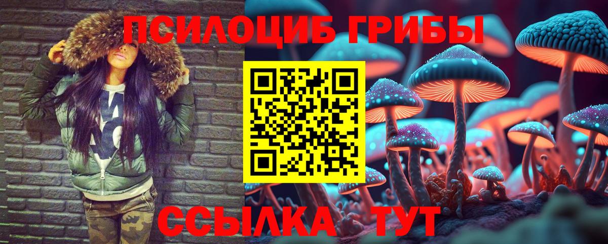 Елабуга  Псилоцибиновые грибы Magic Shrooms  Вход с VPN 